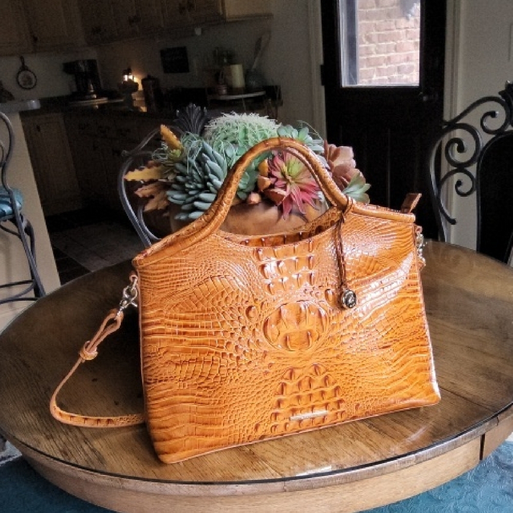 🌻EUC Brahmin Elaine Bag